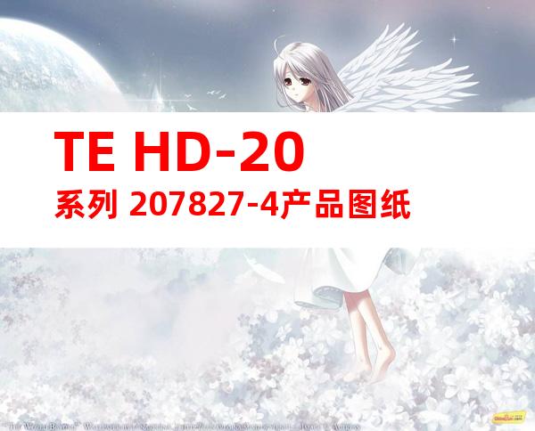 TE HD-20系列 207827-4产品图纸